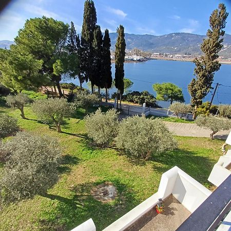 Skiathos Lagoterra Apartments Dış mekan fotoğraf