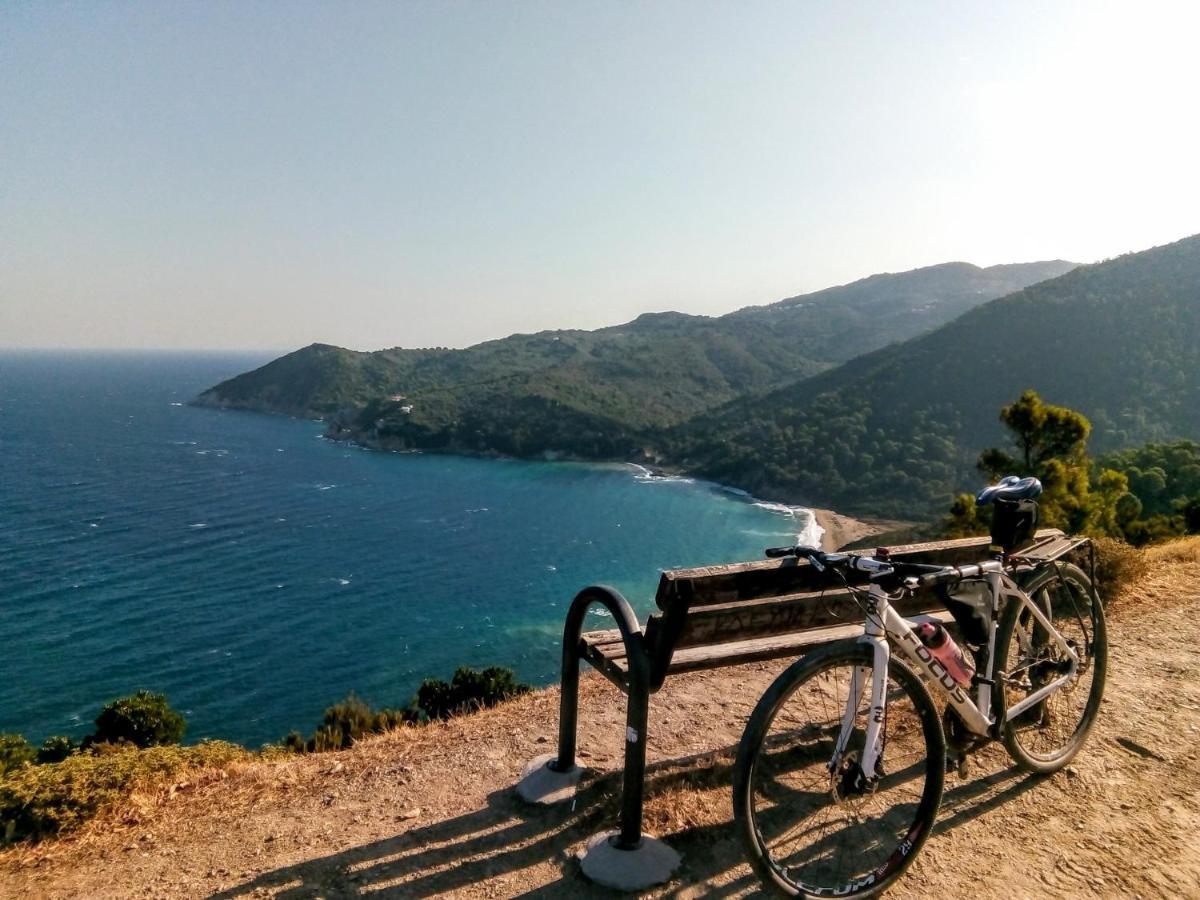 Skiathos Lagoterra Apartments Dış mekan fotoğraf