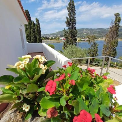 Skiathos Lagoterra Apartments Dış mekan fotoğraf